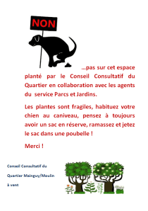 affiche dejections CCQ