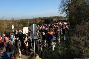 1525408_1378641835714882_715432235_n