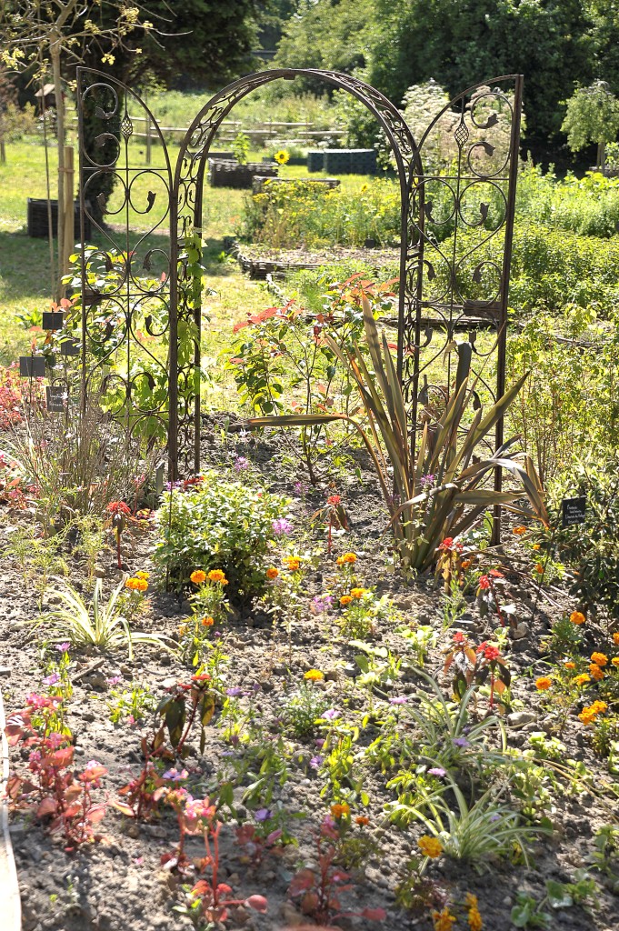 Loi biodiversité : des avancées mais qui ne répondent pas à l’urgence des&nbsp;enjeux