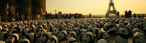 panda marche climat